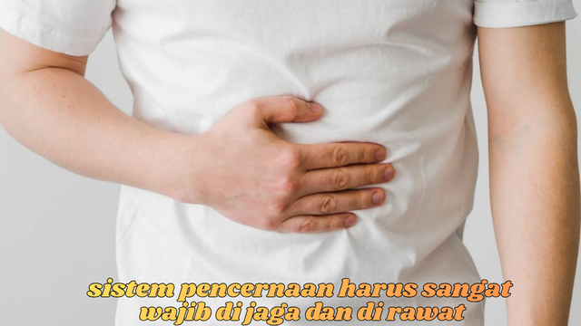menjaga kesehatan sistem pencernaan